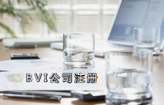 注冊BVI公司詳細流程